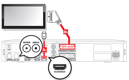 schema_connectique_dualt_modif