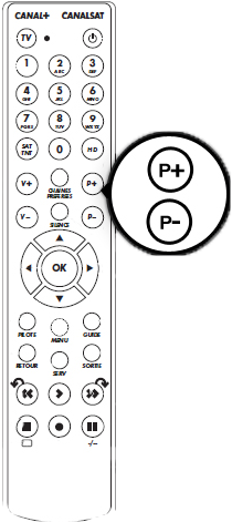 tlc_dualt_programme